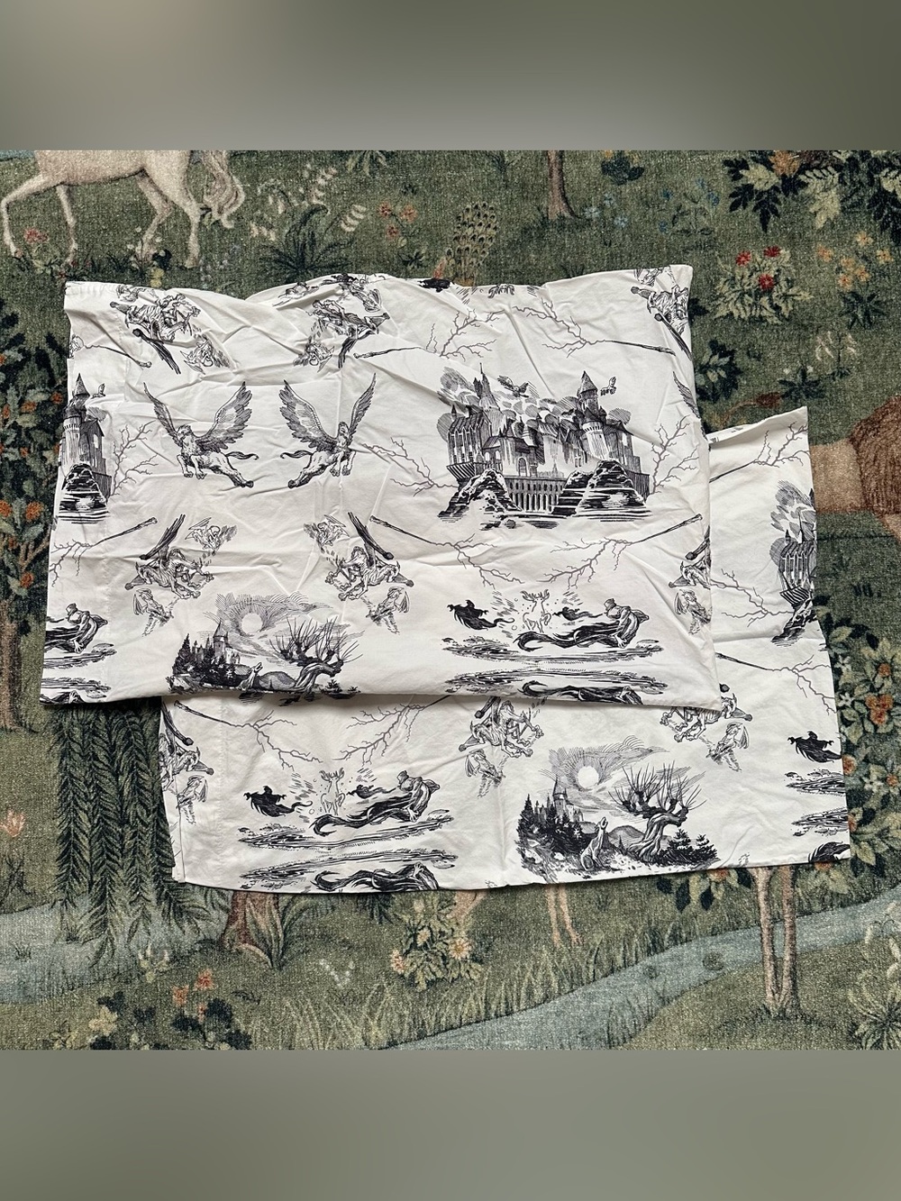 Pottery Barn Teen Harry Potter Toile Print Pillowcases